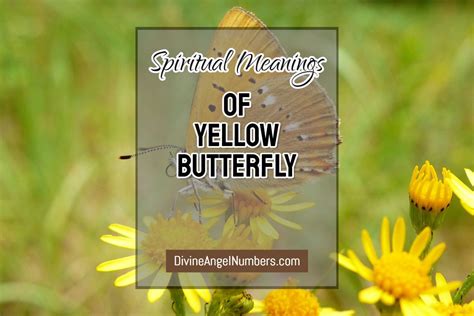 Yellow Butterfly Meaning Spiritual Secrets Updated 2024