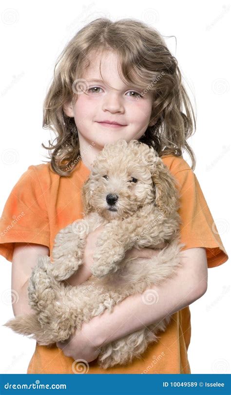 Young Girl With Her Toy Poodle Puppy 9 Weeks Old Royalty Free Stock