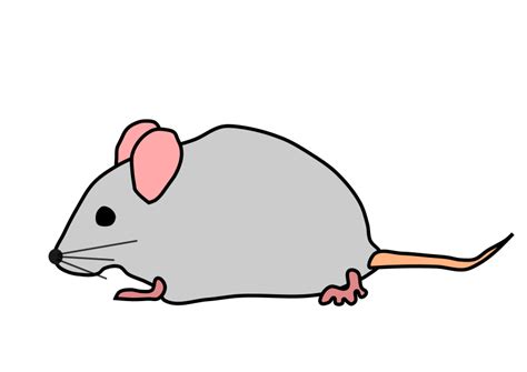 Mouse Clipart Download Free Clip Art On Clipart Bay