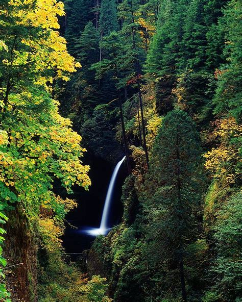 Visit Metlako Falls On Eagle Creek In Oregon Usa Places Of Interest