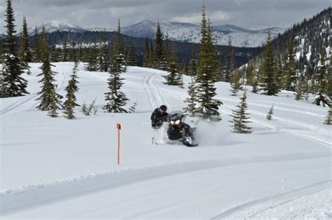 Canyon Creek Guided Snowmobile Tours In Mt Swan Mountain