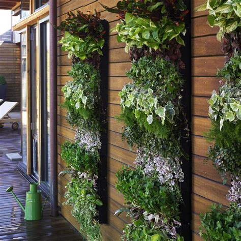 Do You Have An Indoor Living Wall Gardening Forums