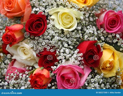 Bouquet Of Colorful Roses Stock Photo Image Of Bunch 58227300