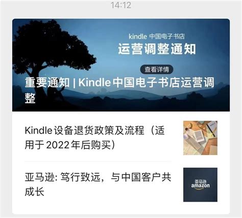 Chinese Firms Rush To Fill The Void Left By Kindles Departure Shine News