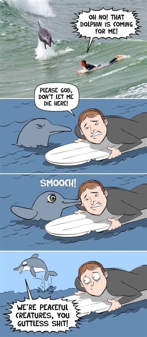 Funny Memes Funny Funny Dolphins Memes Dauphin