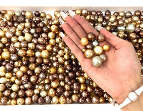 South Sea Pearls Aa1 Quality Beautiful 10mm 17mm Chocolate And Golden
