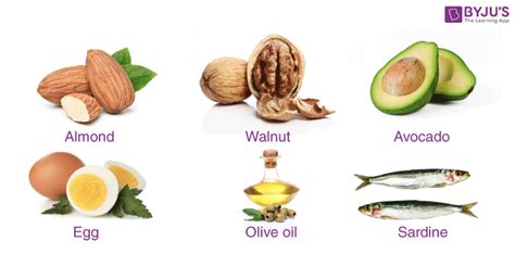 Sources Of Fats In Food