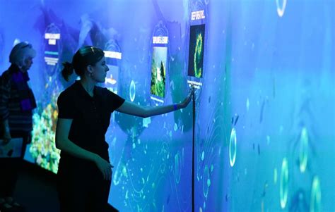 A Look Inside Aquarium Of The Pacifics New Pacific Visions Exhibit
