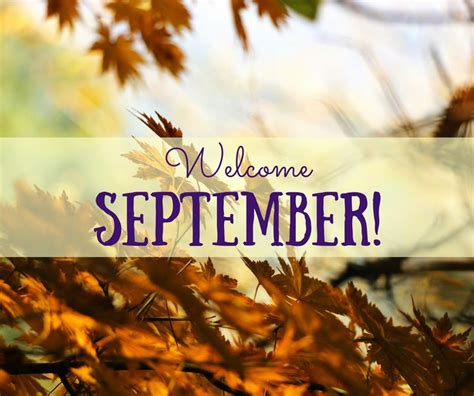 Welcome To September 2017 - The Tony Burgess Blog