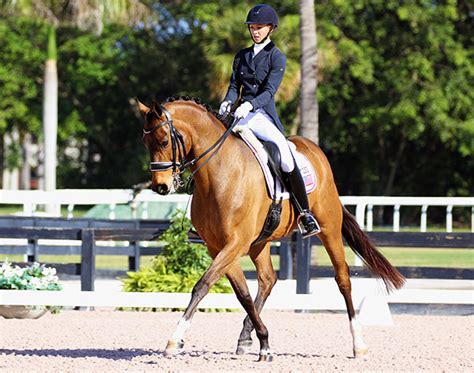 Laura Graves Debuts Fizau At Global Dressage Festival In National Developing St Georges
