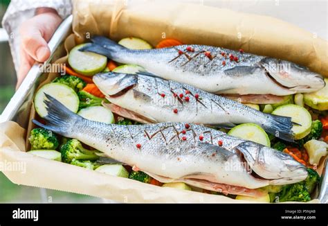 Fresh Sea Bass Seabass Is Ready For Baking With Vegetables Broccoli Cauliflower Zucchini And