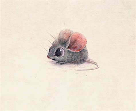 Adorable Animal Illustrations