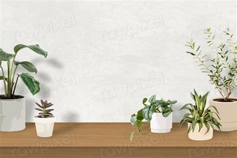 White Zoom Background With Plants Images And Photos Finder