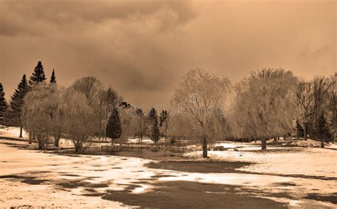 Late Winter Early Spring Landscape In Bromont Stock Image Image Of