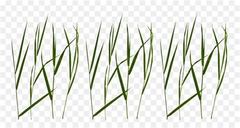 Free Grass Blade Texture Hd Png Download Vhv