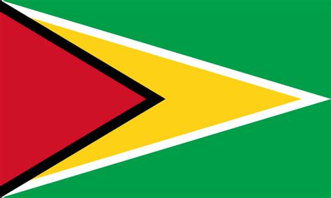 The Golden Arrowhead National Flag Of Guyana Things Guyana
