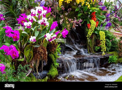 Waterfall In Gardenorchid Garden Beautiful Flower Garden Beautiful