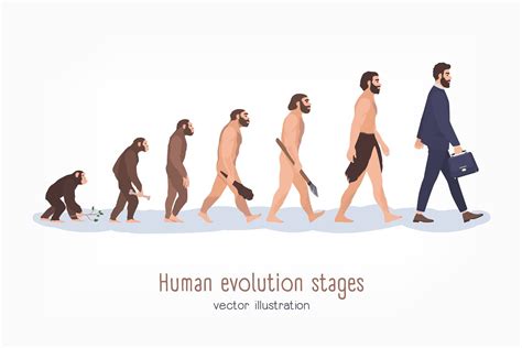 Human Evolution Stages Pre Designed Photoshop Graphics ~ Creative Market