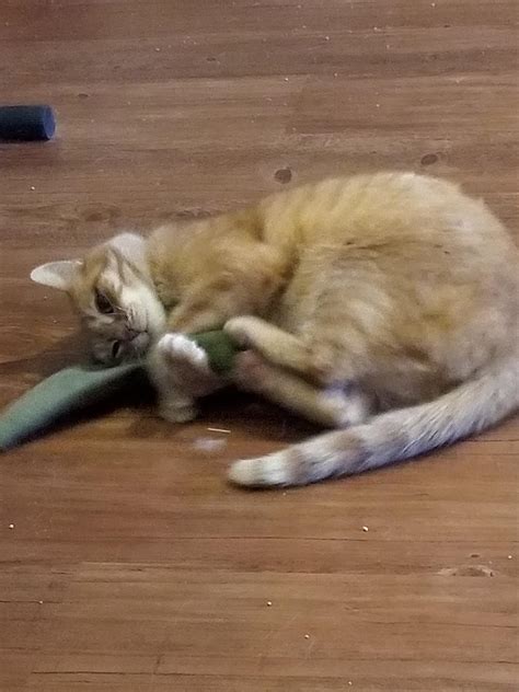 Well that's not very lady like : r/JUSTNOMIL