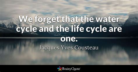Product lifecycle management (plm) refers to the handling of a. We forget that the water cycle and the life cycle are one. - Jacques Yves Cousteau - BrainyQuote