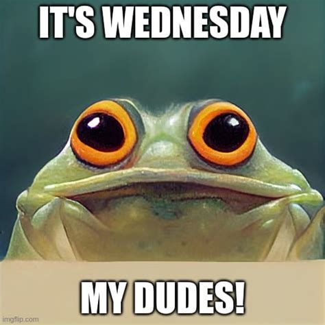 A Wednesday Frog Meme Generated On Mijourney For You My Dudes 9gag