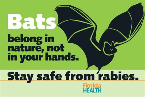 Public Service Reminder Bats And Rabies Florida Department Of Health