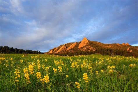 Top 5 Things To Do This Spring In Boulder Colorado