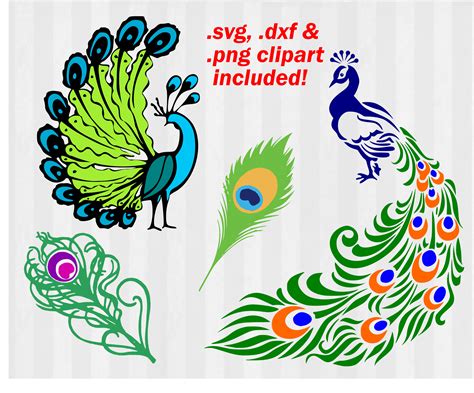 Bird Peafowl AutoCAD DXF Clip art - peacock png download ...