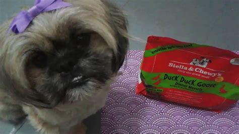 Unlock your pet's potential to thrive with the pure, real nutrition of raw. Stella & Chewy's Raw Frozen Dog Food Taste Test - YouTube