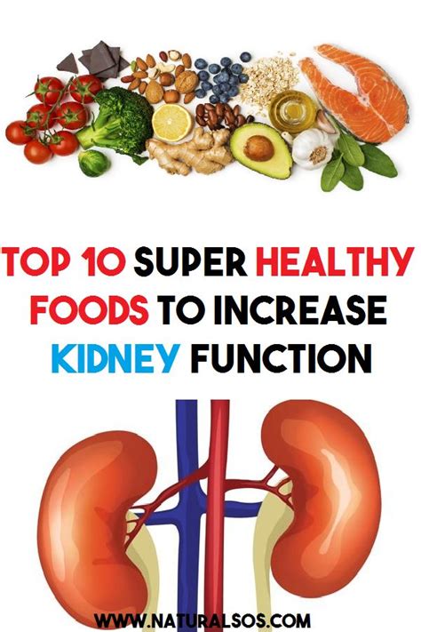 Top 10 Super Healthy Foods To Increase Kidney Function Kidney Healthy
