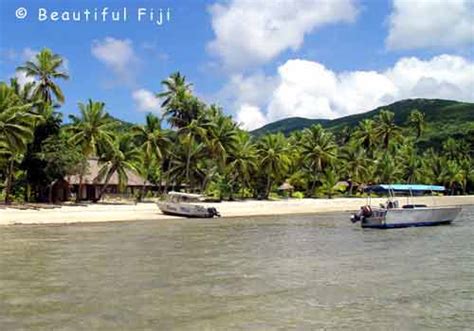 Pictures Of Papageno Eco Resort Fiji Islands