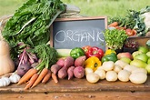 Growing organic vegetables - The Gardener : The Gardener