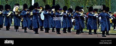 Wo1 Gsm Andrew `vern` Stokes Coldstream Guards Stock Photo Alamy