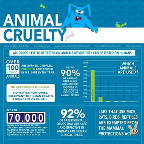 The Damage Done By Animal Cruelty In The Society