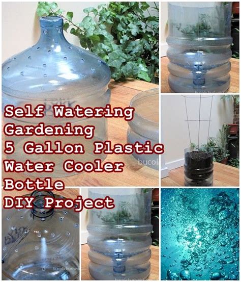 Self Watering Gardening 5 Gallon Plastic Water Cooler Bottle Diy