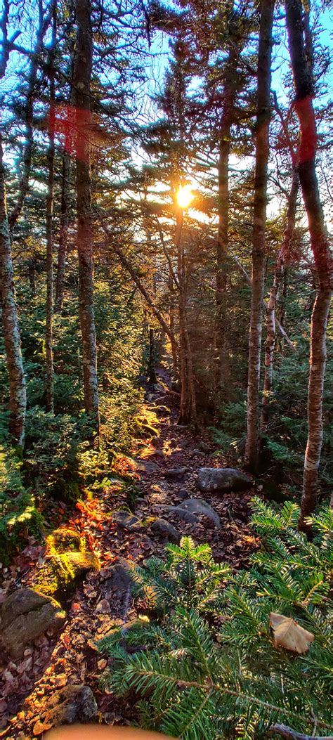 Mount Moosilauke Hike This Weekend Rboston