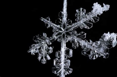 Unique And Beautiful Snowflakes 49 Pics