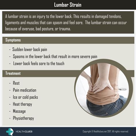 Lower back muscle anatomy includes the multifidus, longissimus, spinalis, and quadratus lumborum. Lower Back Muscle Diag - 5 Best Exercises To Beat Back Pain - Get Healthy U : 12 photos of the ...