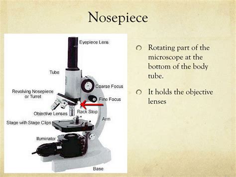 Ppt The Microscope Powerpoint Presentation Free Download Id2129026
