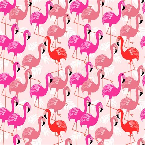 Colorful Flamingo Seamless Pattern Stock Vector Illustration Of Love