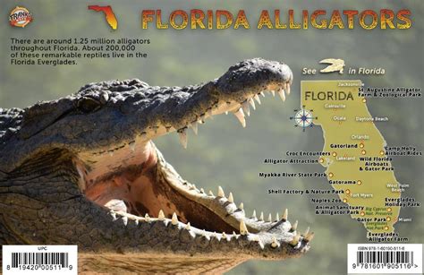 Florida Alligators Guide Card Frankos Maps