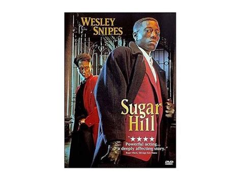 La leggenda del pianista sull'oceano. Sugar Hill - Newegg.com
