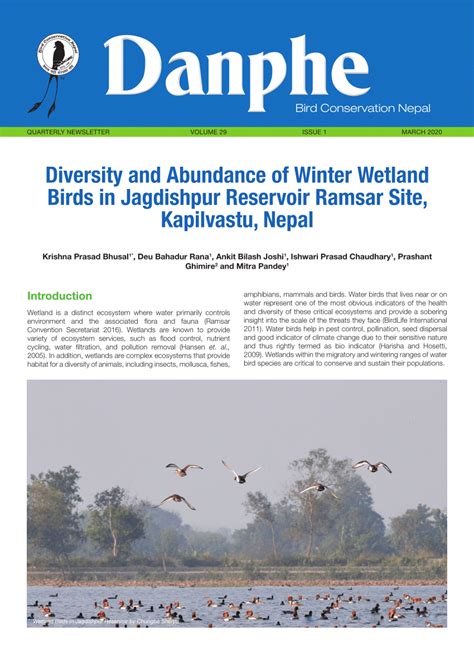 Pdf Diversity And Abundance Of Winter Wetland Birds In
