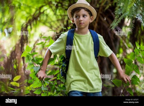 Boy Walking In Forest Stock Photo Alamy