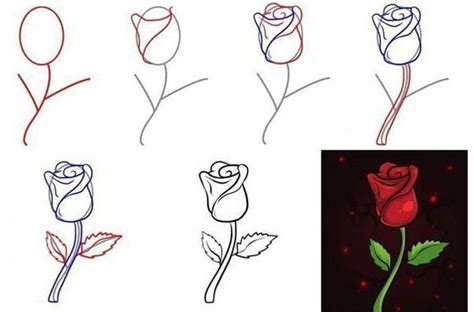 Các Bước đơn Giản để Hướng Dẫn Vẽ Hoa Hồng đẹp Như Tranh Vẽ Chuyên Nghiệp