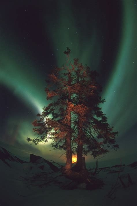 Pictures Of The Year Extraordinary Aurora Landscape Photography