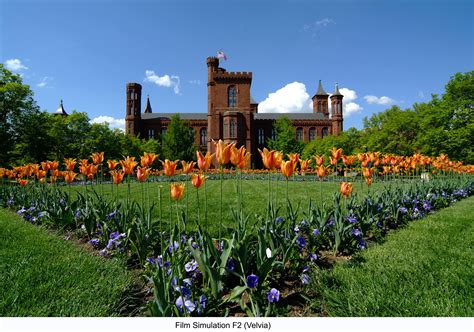 Hey Smithsonian Who Was Mary Livingston Ripley And Why Is Your Garden