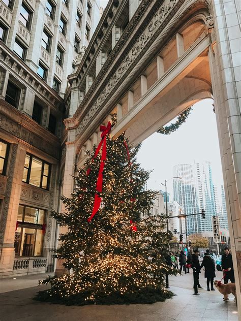 Explore The Stunning Christmas Trees In Downtown Chicago