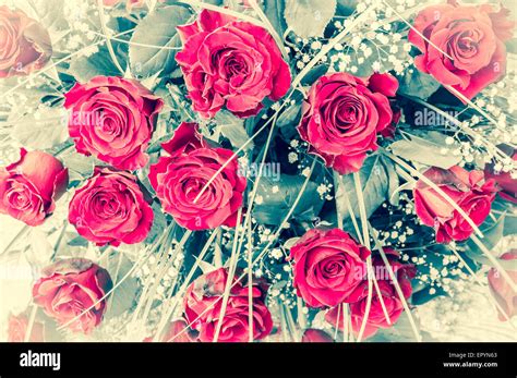 Closeup Of Beautiful Freshly Cut Red Roses Bouquet Stock Photo Alamy