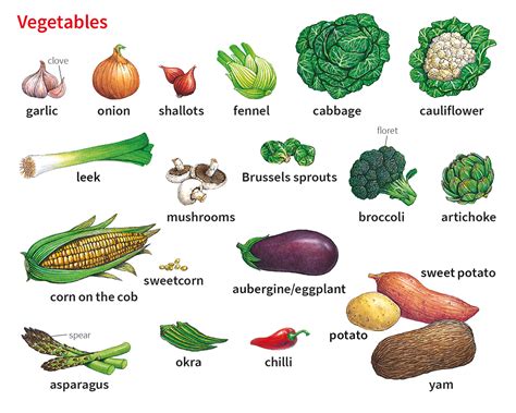 Vocabulary For Food Vegetables
